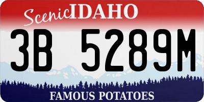 ID license plate 3B5289M