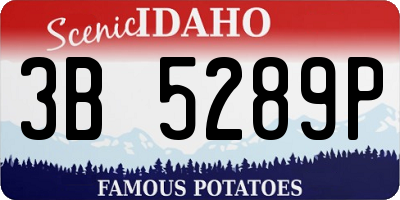 ID license plate 3B5289P