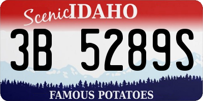 ID license plate 3B5289S