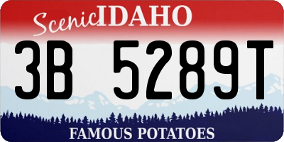 ID license plate 3B5289T