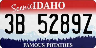 ID license plate 3B5289Z