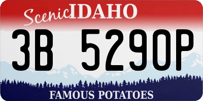 ID license plate 3B5290P