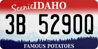 ID license plate 3B5290Q