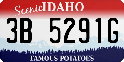 ID license plate 3B5291G