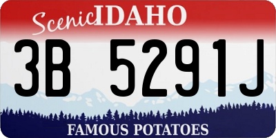 ID license plate 3B5291J