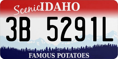 ID license plate 3B5291L