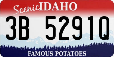 ID license plate 3B5291Q