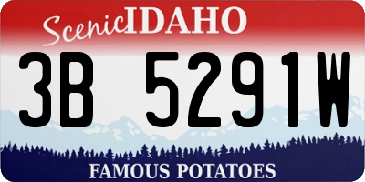 ID license plate 3B5291W