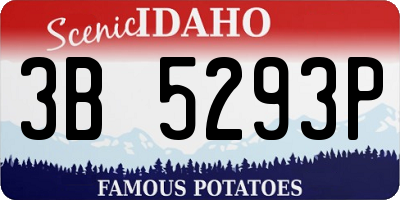 ID license plate 3B5293P