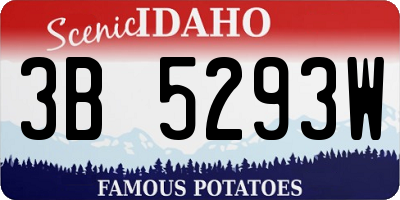 ID license plate 3B5293W