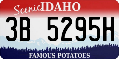 ID license plate 3B5295H