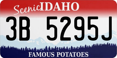 ID license plate 3B5295J