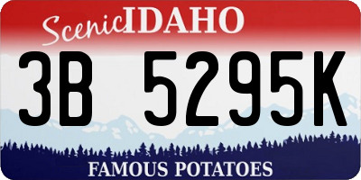 ID license plate 3B5295K