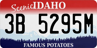 ID license plate 3B5295M