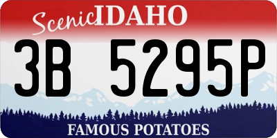 ID license plate 3B5295P