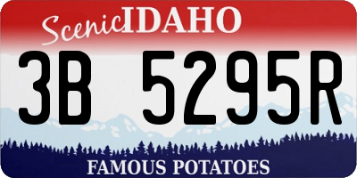 ID license plate 3B5295R