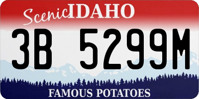 ID license plate 3B5299M