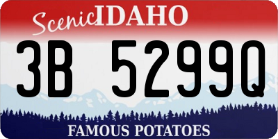 ID license plate 3B5299Q