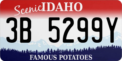 ID license plate 3B5299Y