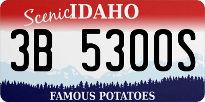 ID license plate 3B5300S