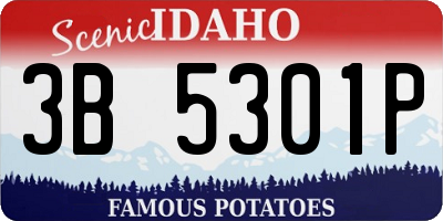 ID license plate 3B5301P