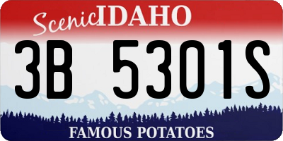ID license plate 3B5301S