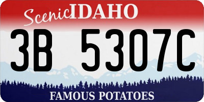 ID license plate 3B5307C