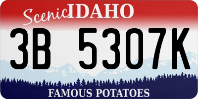 ID license plate 3B5307K