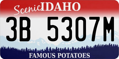 ID license plate 3B5307M