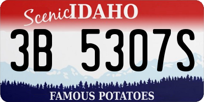 ID license plate 3B5307S
