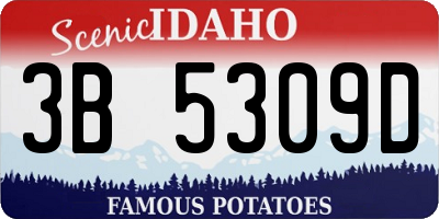 ID license plate 3B5309D