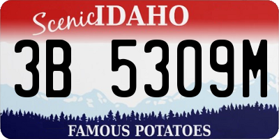 ID license plate 3B5309M