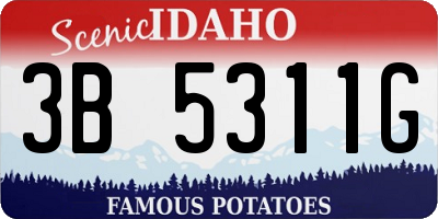 ID license plate 3B5311G