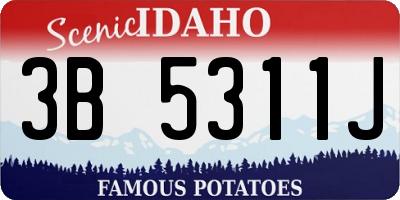 ID license plate 3B5311J