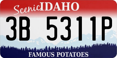 ID license plate 3B5311P