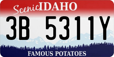ID license plate 3B5311Y
