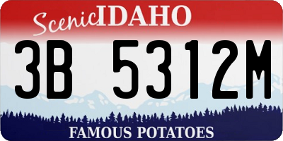 ID license plate 3B5312M