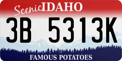 ID license plate 3B5313K