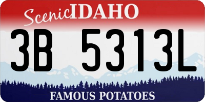 ID license plate 3B5313L