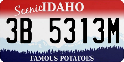 ID license plate 3B5313M