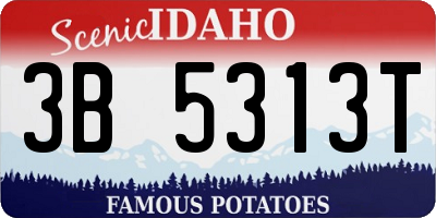 ID license plate 3B5313T