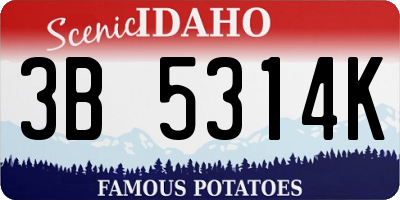 ID license plate 3B5314K