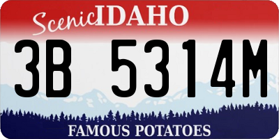 ID license plate 3B5314M