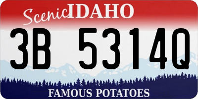 ID license plate 3B5314Q