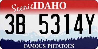 ID license plate 3B5314Y