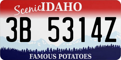 ID license plate 3B5314Z