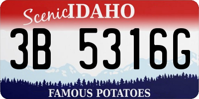 ID license plate 3B5316G