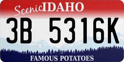 ID license plate 3B5316K