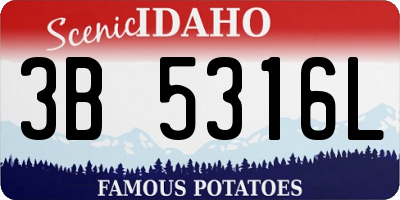 ID license plate 3B5316L
