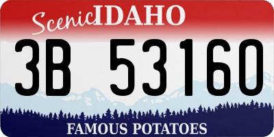 ID license plate 3B5316O